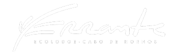 Errante Ecolodge