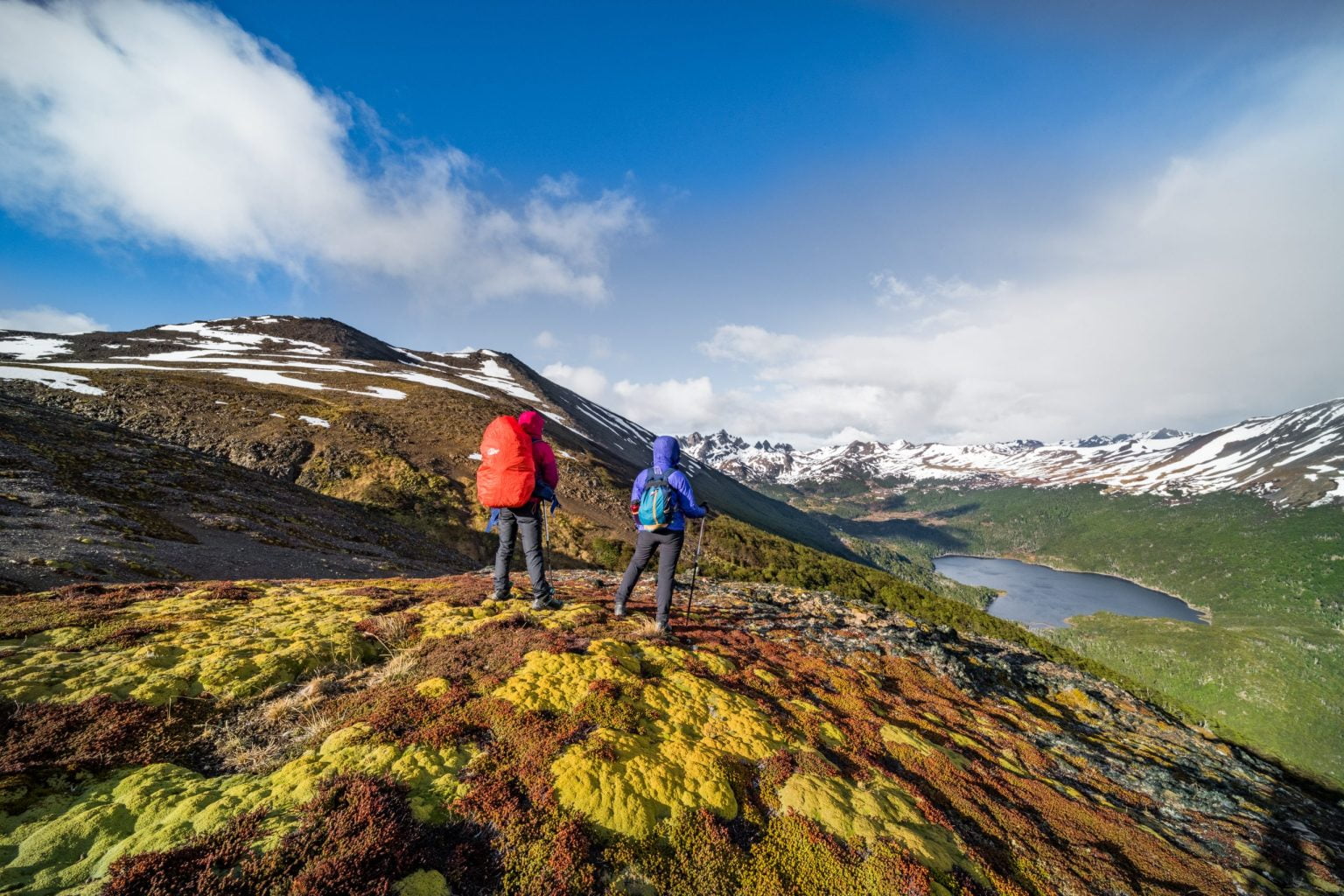 Caminantes sobre una ladera con vista a una laguna y a las cumbres nevadas.