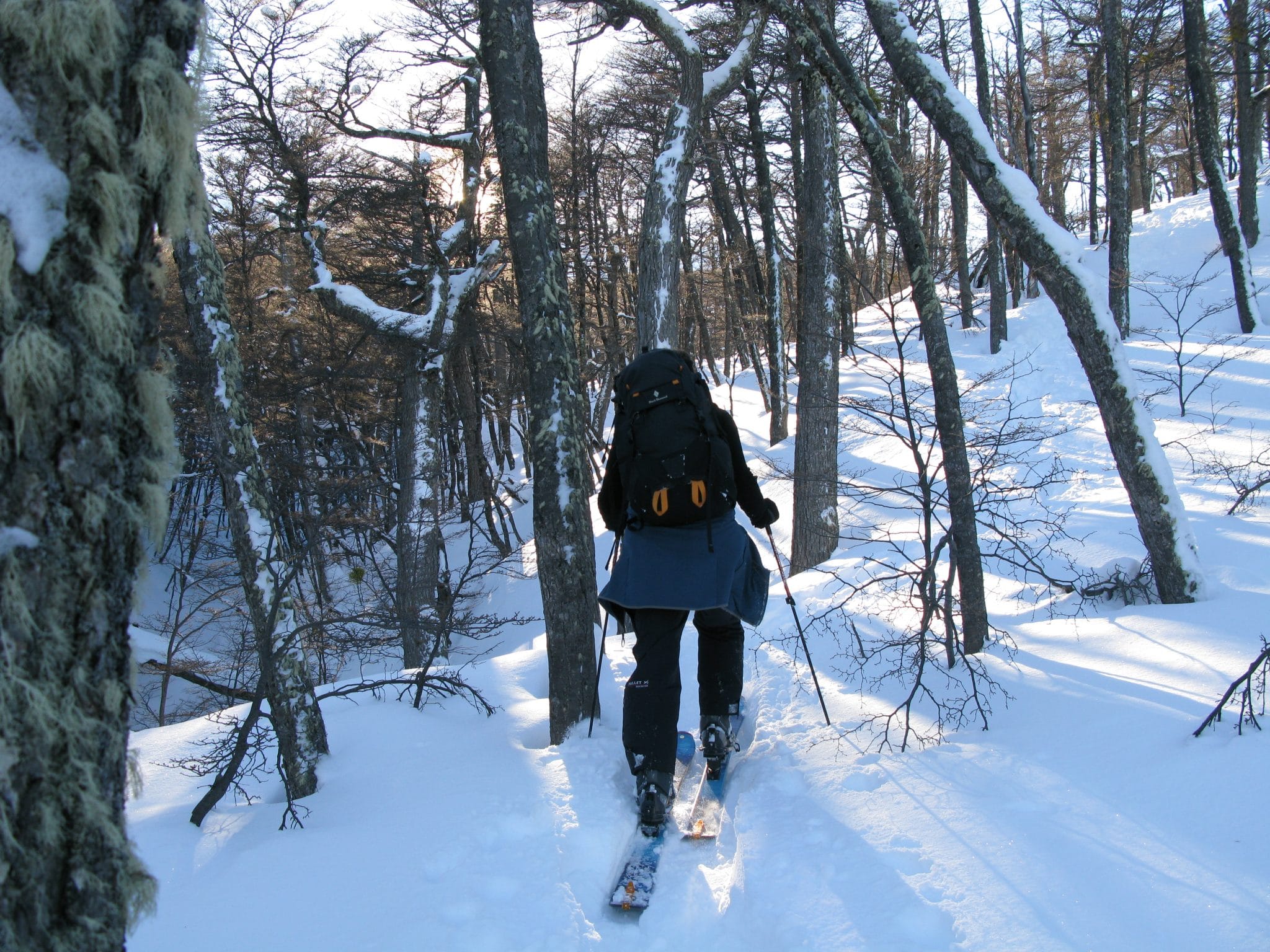 Persona caminando con raquetas por un bosque nevado de la isla.