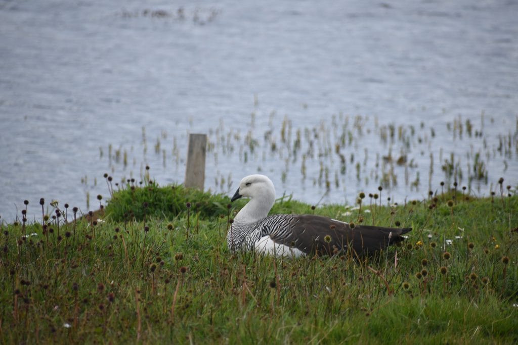 DSC_0027