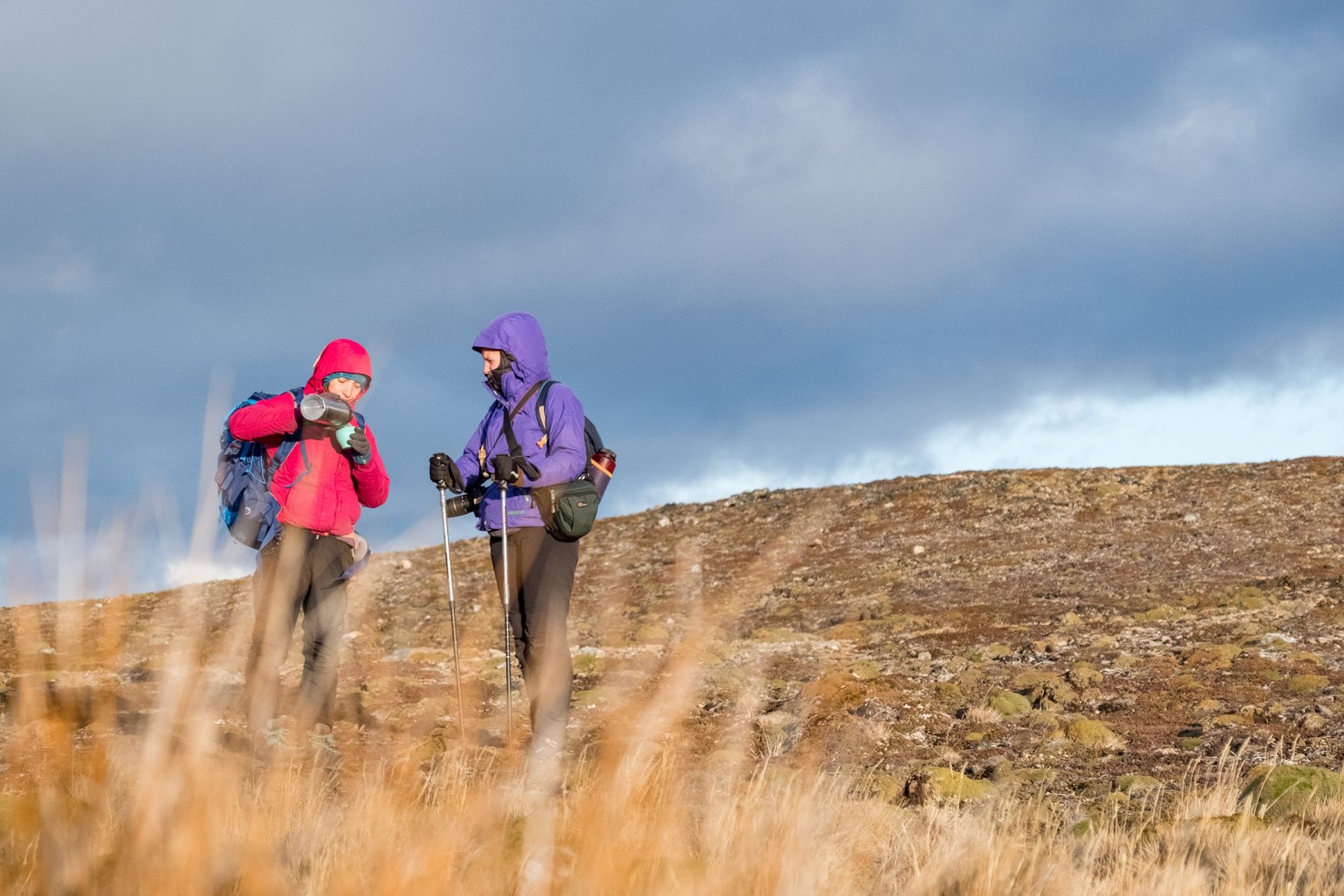 Dos caminantes en una pampa de la isla