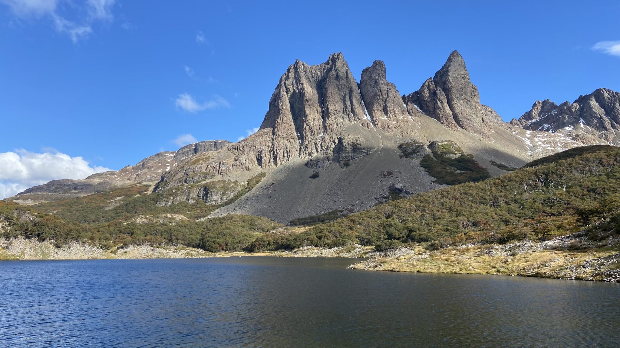 Los picos de los Dientes de Navarino sobre una laguna, con bosque en la orilla.