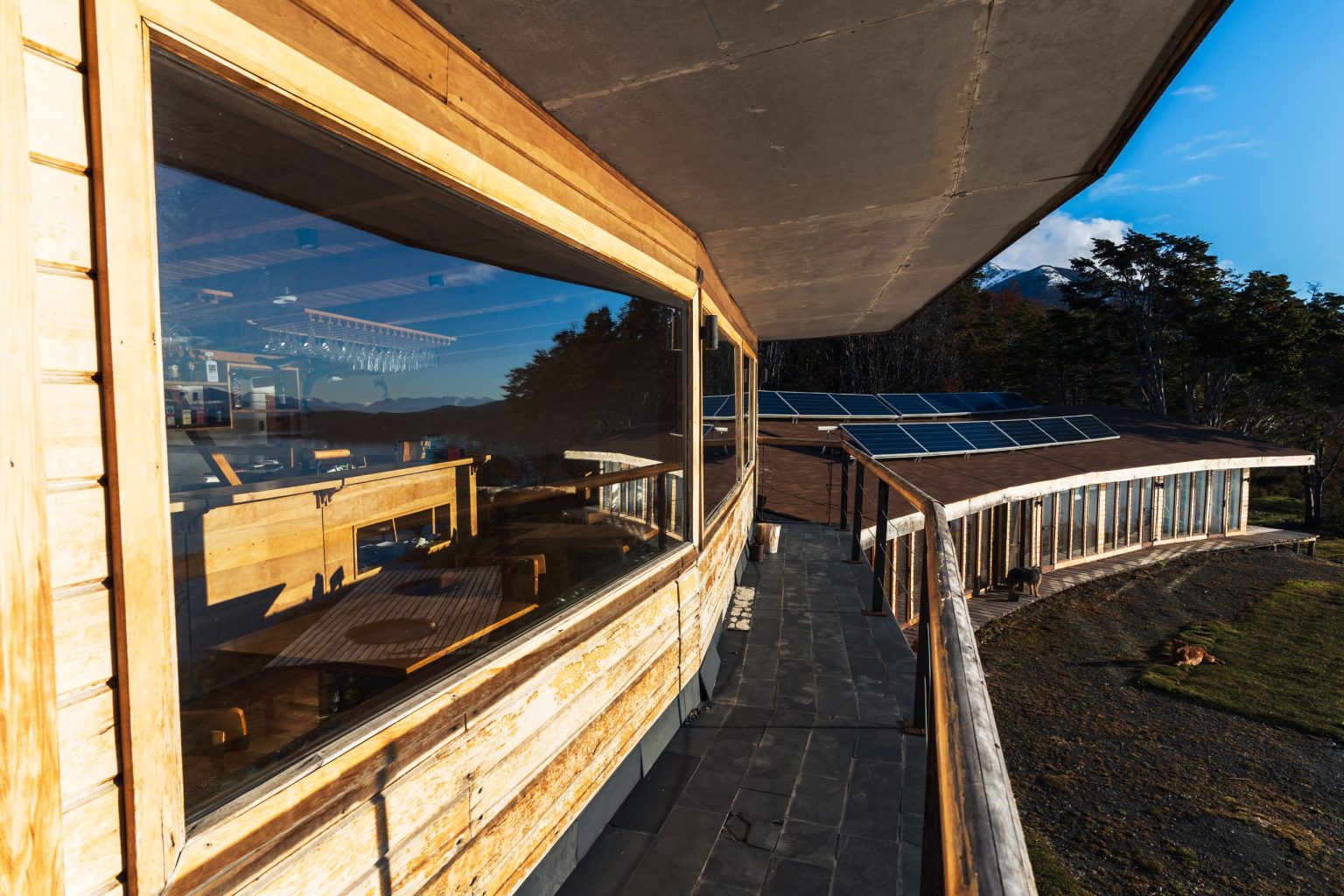Pasarela exterior del lodge con los paneles solares sobre el techo y el bosque alrededor.