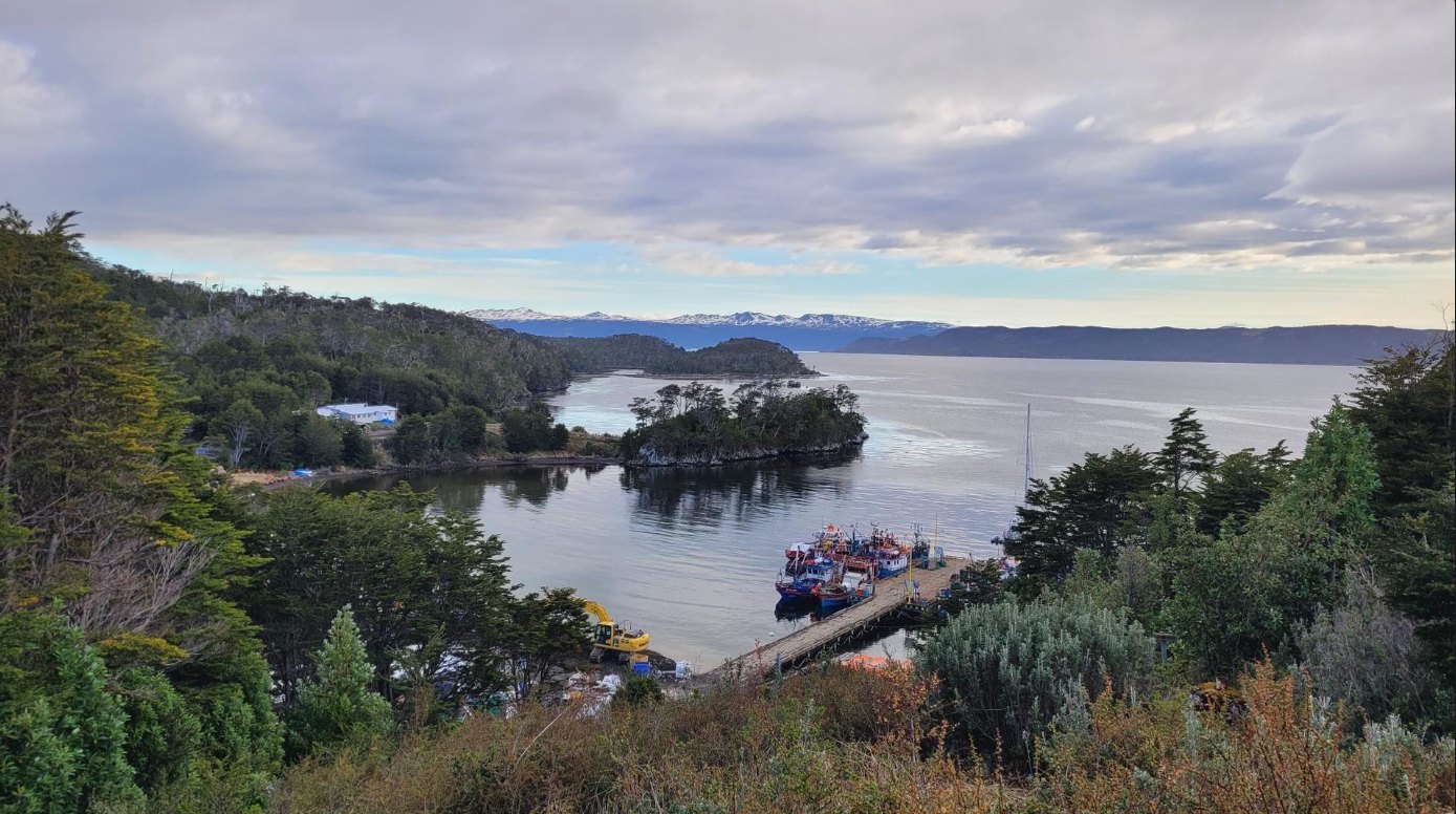 Vista elevada de la bahía de Puerto Toro, con un islote, el muelle y barcos pesqueros amarrados.