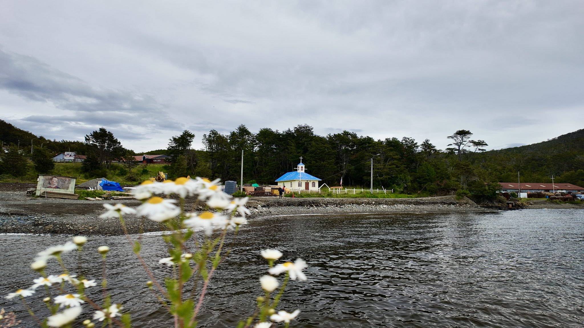 La iglesia de techo azul de Puerto Toro, junto a la costa, con margaritas en primer plano.