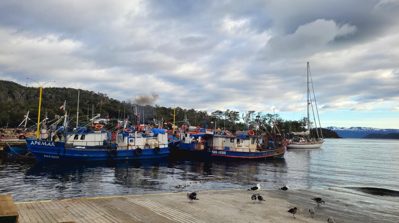 Barcos pesqueros azules amarrados al muelle de Puerto Toro, con un velero al fondo.